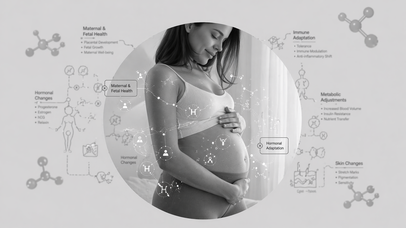 Vetenskapen om hud och hormoner - graviditet och framåt